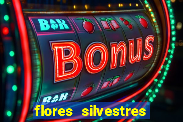 flores silvestres desbravadores desbravadores 25